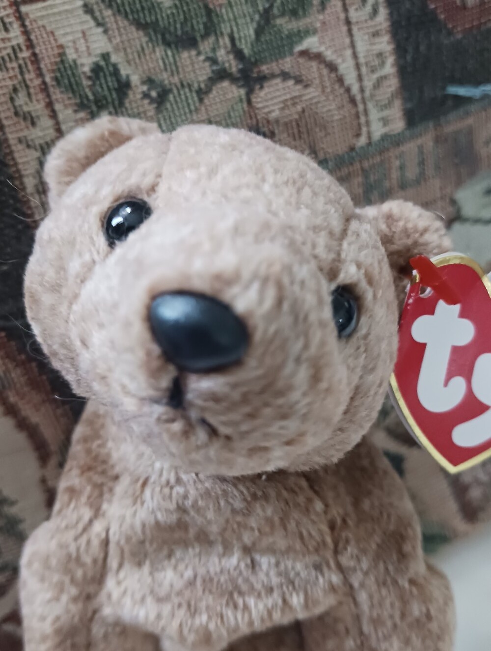 Vintage Rare 1999 Pecan Bear, Soft Brown TY Plush